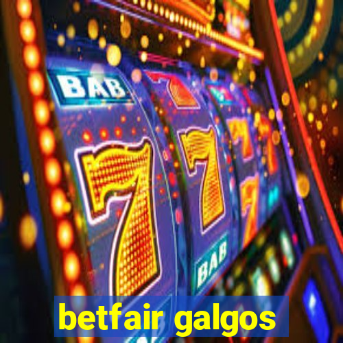 betfair galgos